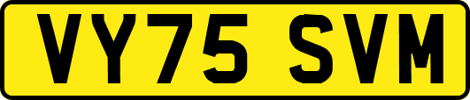 VY75SVM