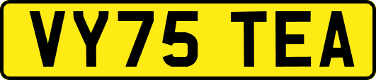 VY75TEA