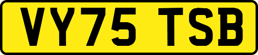 VY75TSB