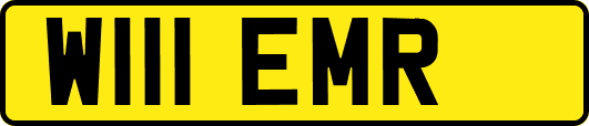 W111EMR
