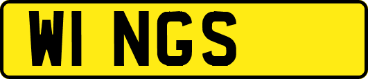 W1NGS