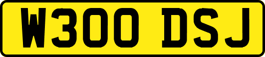 W300DSJ