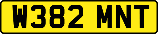 W382MNT