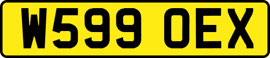W599OEX