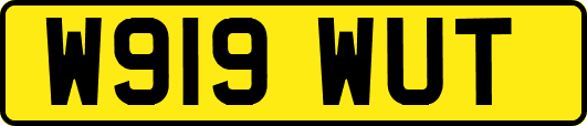 W919WUT