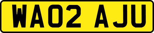 WA02AJU