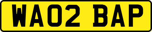 WA02BAP