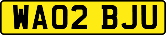 WA02BJU