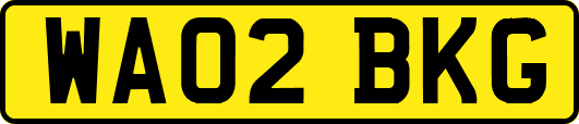 WA02BKG