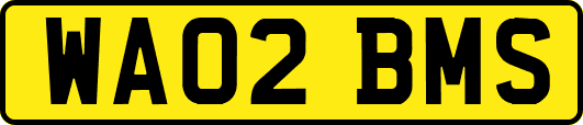 WA02BMS