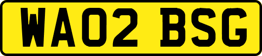 WA02BSG