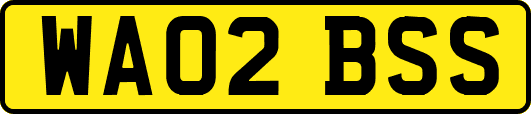 WA02BSS
