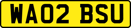 WA02BSU