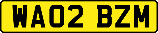 WA02BZM