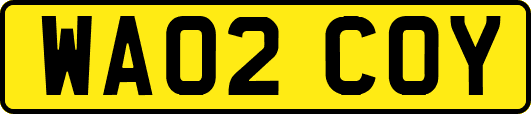 WA02COY