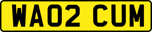 WA02CUM