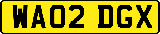WA02DGX