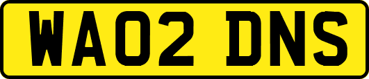 WA02DNS