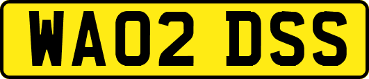 WA02DSS