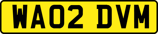 WA02DVM