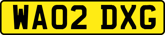WA02DXG