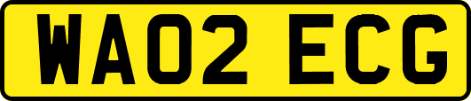 WA02ECG
