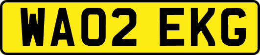 WA02EKG