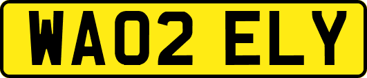 WA02ELY