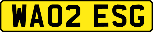WA02ESG