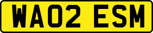 WA02ESM