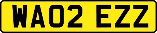 WA02EZZ
