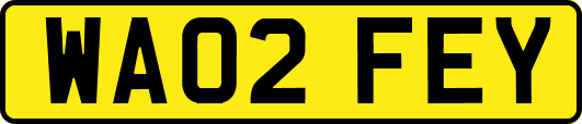 WA02FEY