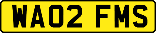 WA02FMS