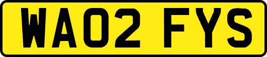 WA02FYS