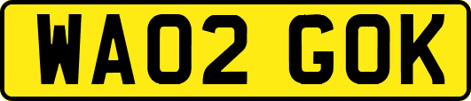 WA02GOK