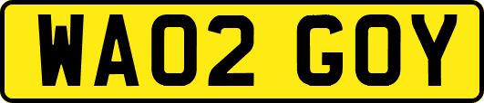 WA02GOY