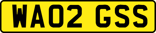 WA02GSS