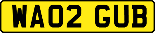 WA02GUB