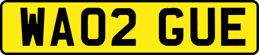 WA02GUE