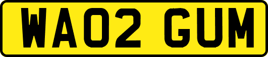 WA02GUM