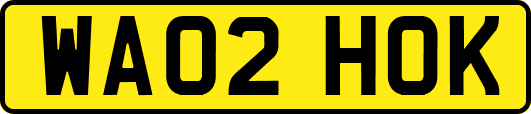 WA02HOK