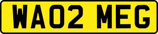 WA02MEG