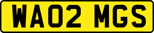 WA02MGS