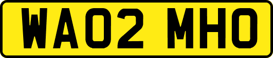 WA02MHO