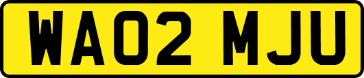 WA02MJU