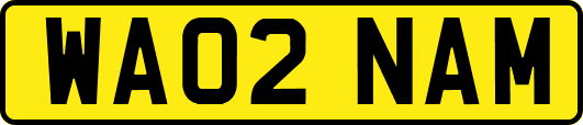 WA02NAM