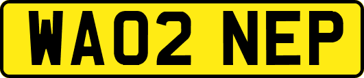 WA02NEP