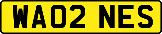 WA02NES