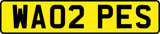 WA02PES