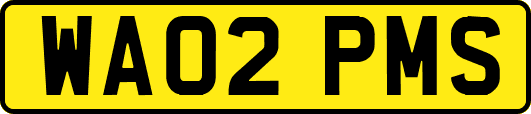 WA02PMS